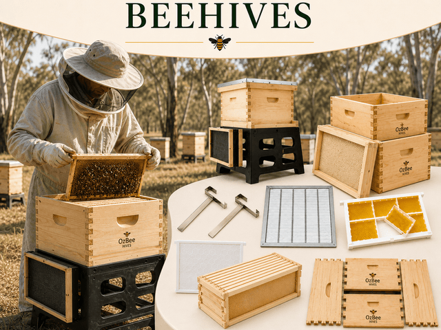 Beehives - Ozee beekeeping Supplies