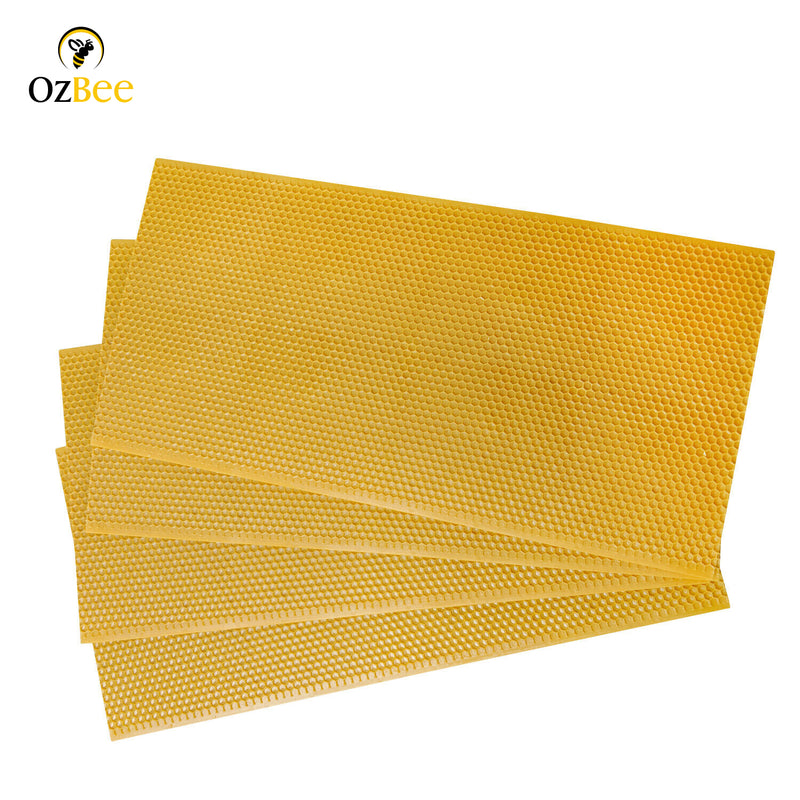 100 X Plastic Beehive Foundation Full Depth Honeycomb Foundation for Bee Frames