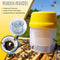 Varroa mite Test Kit, Sugar Shake & Alcohol Wash Beekeeping