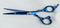 Ovial- Fix Hook Blue Plasma Quoted J-2 Steel Professional Scissor 6"