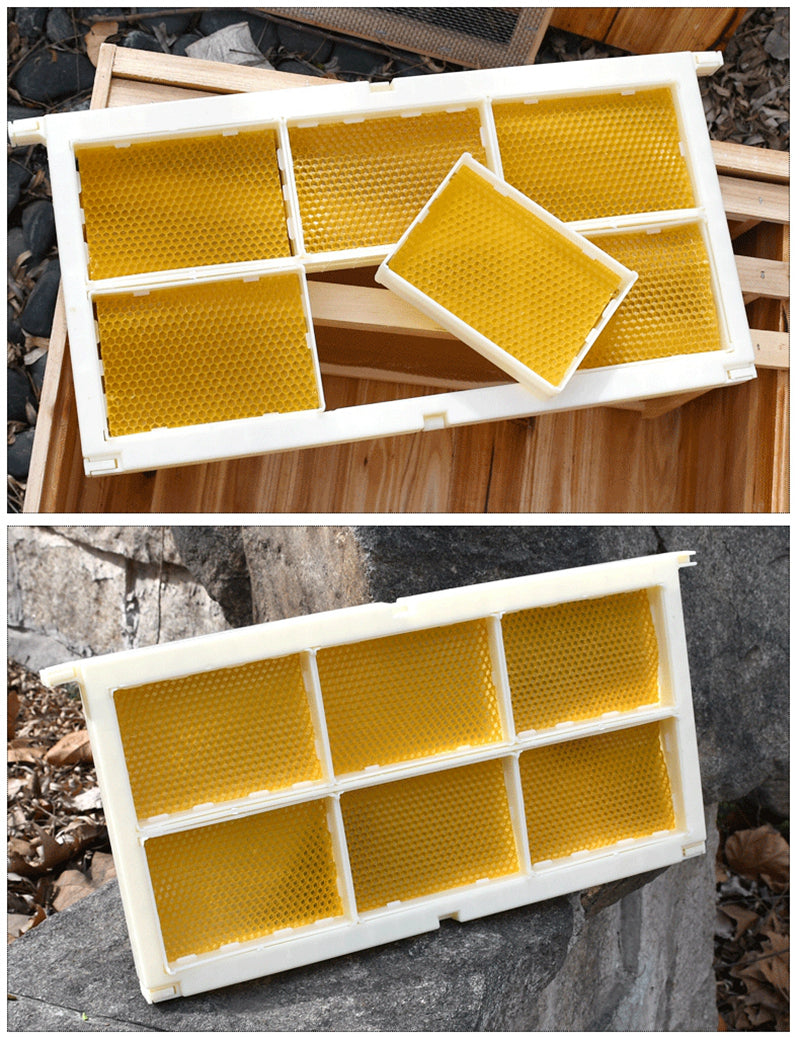 Plastic HoneyComb Frame with 6 Clear Transparent HoneyComb Boxes