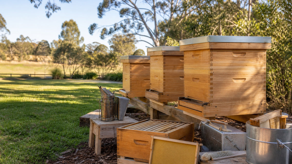 Langstroth beehives and beekeeping equipment in an Australian apiary
